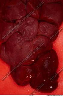 Photo Textures of RAW Pork Meat